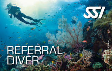 Dive SSI Referral Diver - Theorie & Pool